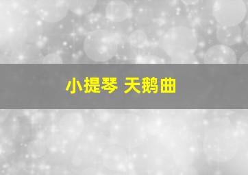 小提琴 天鹅曲